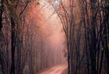 4-1大胜皇家社会,曼联自2023年3月以来首次在欧战打进4球.