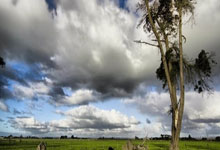 近180万人预约辽鲁决战!热度远超辽粤大战,辽篮全力争胜不挑对手.