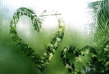 [图]凯恩双响 拜仁2-1力克法兰克福锁定欧冠资格.