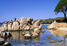 开云:米兰冬奥会前重要练兵 短道速滑队全力备战亚冬会人民日报客户端体育频道.